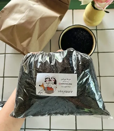 چای زرین بهاره گیلان
