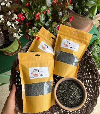 چای سبز بهاره گیلان