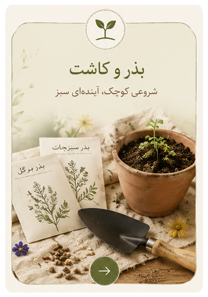 بذر و کاشت