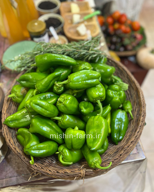 kapi فلفل کاپی - Image 1