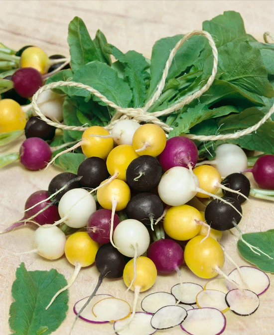 1733407814_39887 بذر تربچه میکس - Image 1