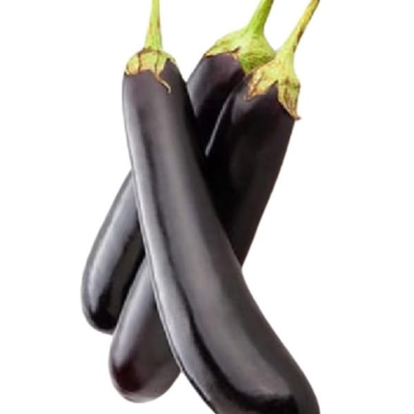 بذر بادمجان قلمی سیاه
