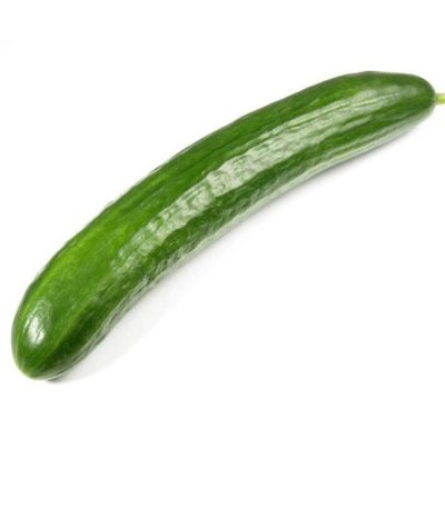 بذر خیار F1