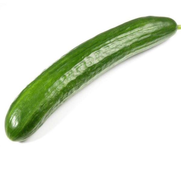 بذر خیار F1