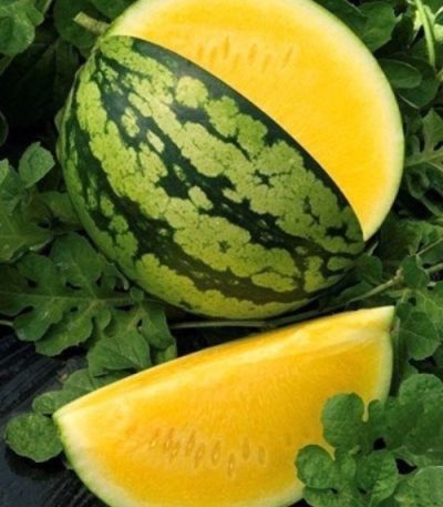 بذر هندوانه آناناسی