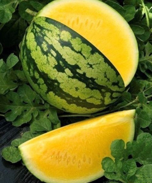بذر هندوانه آناناسی