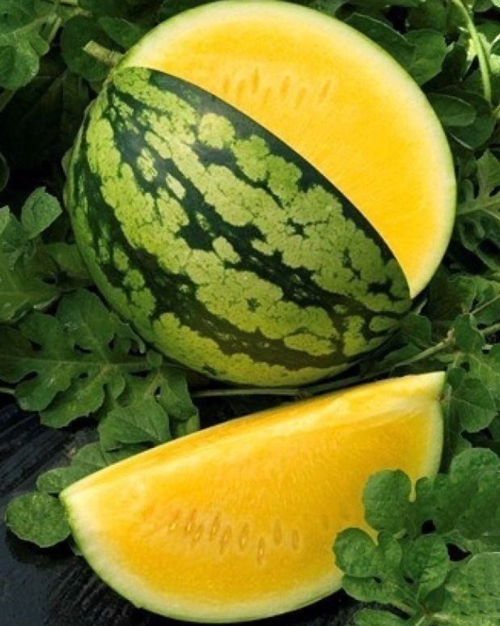 بذر هندوانه آناناسی