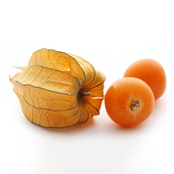 بذر فیسالیس کلمبیایی